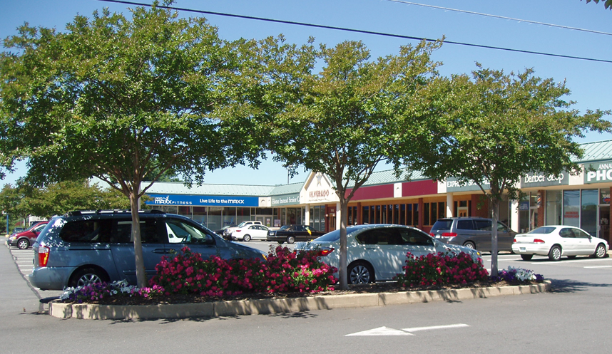Carpet Roses, Crepe Myrtle Trees and Annuals landscape the Annandale Shopping Center